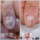 손에핀 꽃