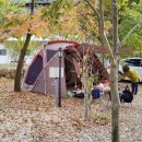 보보캠핑 이미지