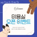 체크업동물병원 | 서초구 방배동 동물병원 체크업동물병원 진료시간 접근성 이용후기