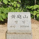 2026년 5월 17일 충북 단양의 명산 황정산을 산행함 이미지