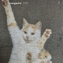 창문스토리