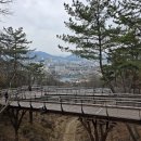 ♤8월20일(목)경남 밀양 용두산 생태공원 산림욕장 탐방 트레킹 &amp; 산성산(387m) 산행예약 이미지
