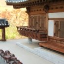 뿌리깊은나무교육 이미지