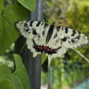 동탄복합문화센터 야외공연장 이미지