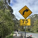 센스여행사(주) | 호주 여행 멜버른 그레이트오션로드 날씨 옷차림, 조이투어 내돈내산 후기