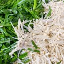 로고스요양병원 이미지