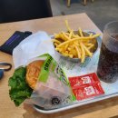 11500-13-13-105 이미지