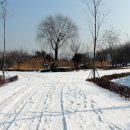 나무고아원 이미지