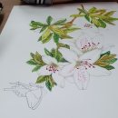 [주말]보테니컬 아트 이미지