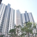 이편한2차단지내공인중개사사무소 이미지