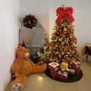 오플로우 이미지