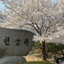 상현근린공원 이미지