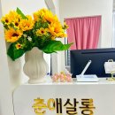 춘살롱 이미지