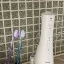 스테이인아트 | 홈 스케일링, 파나소닉 구강세정기 치아관리 솔직후기