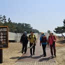 몽산포 해변 이미지