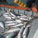 복사초등학교2 이미지