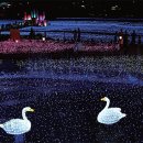 동화호수민박 이미지