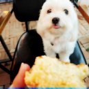 칠곡상회
