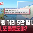 울릉도드림