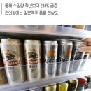 ‘한국은 일본맥주 없으면 못산다’ 조롱이 현실로…1위 탈환한 일본맥주 이미지