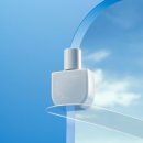 스킨에어리 이미지