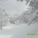 관음사(야영장) 이미지