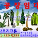 조암ic공인중개사사무소 이미지