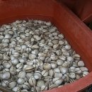 옛집황토방2 이미지