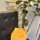 보스턴수제버거 부평점 네이버블로그