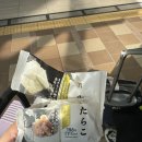 오사카 처음 가보는 사람 후타리데스 (오사카 여행기 1일차)