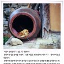 명선이 - 중랑구 사가정로49길 16 | 명선이