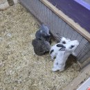 남해목장 이미지