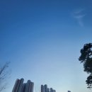 화서 태권도장 이미지