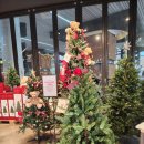 (주)펫키즈 | 모던하우스 크리스마스 소품, 트리, 키즈&amp;펫 아이템