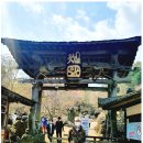 패밀리키즈풀 이미지