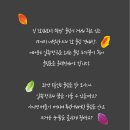스피드홀릭