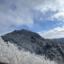 무주읍143 네이버블로그