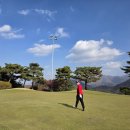 필로스골프연습장 이미지