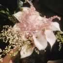 옥천일식 | 10월 1주차: 행복한 추석(압구정 맛집 옥천 카페 영화 보스 궁평항 노을)