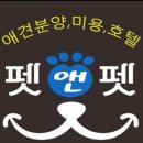 앤애견샵 이미지