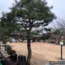 마로니에펜션 이미지