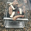 오시유 | 천안 신부동 브런치 카페 피넛 스토어 | 오시유 글램핑장 후기 | 내돈내산