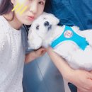 제주돈상 | 꿀가족❤️ 삐뽀삐뽀 폭염주의보 에어컨 사러 출동! :: 안양평촌 제주흑돼지 제주돈상