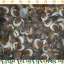 갯벌이야기펜션 이미지