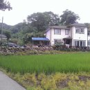 별빛민박 이미지