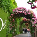 장미의거리 입구 이미지