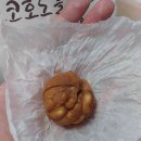 고운아이안경 이미지