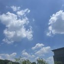 여름이 곁으로 다가온 일상