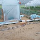 두동농장 이미지