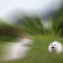 오늘다짐PT 이미지